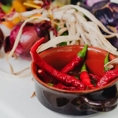 公寓式酒店 Nonna Mariuccia 马扎拉德尔瓦洛