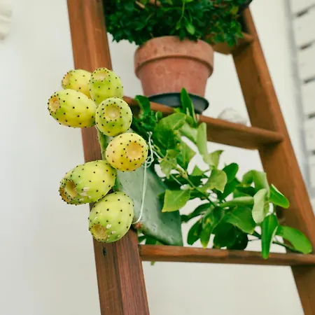Nonna Mariuccia *