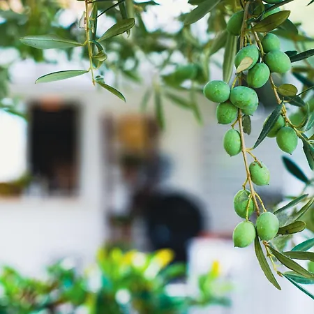 公寓式酒店 Nonna Mariuccia 马扎拉德尔瓦洛